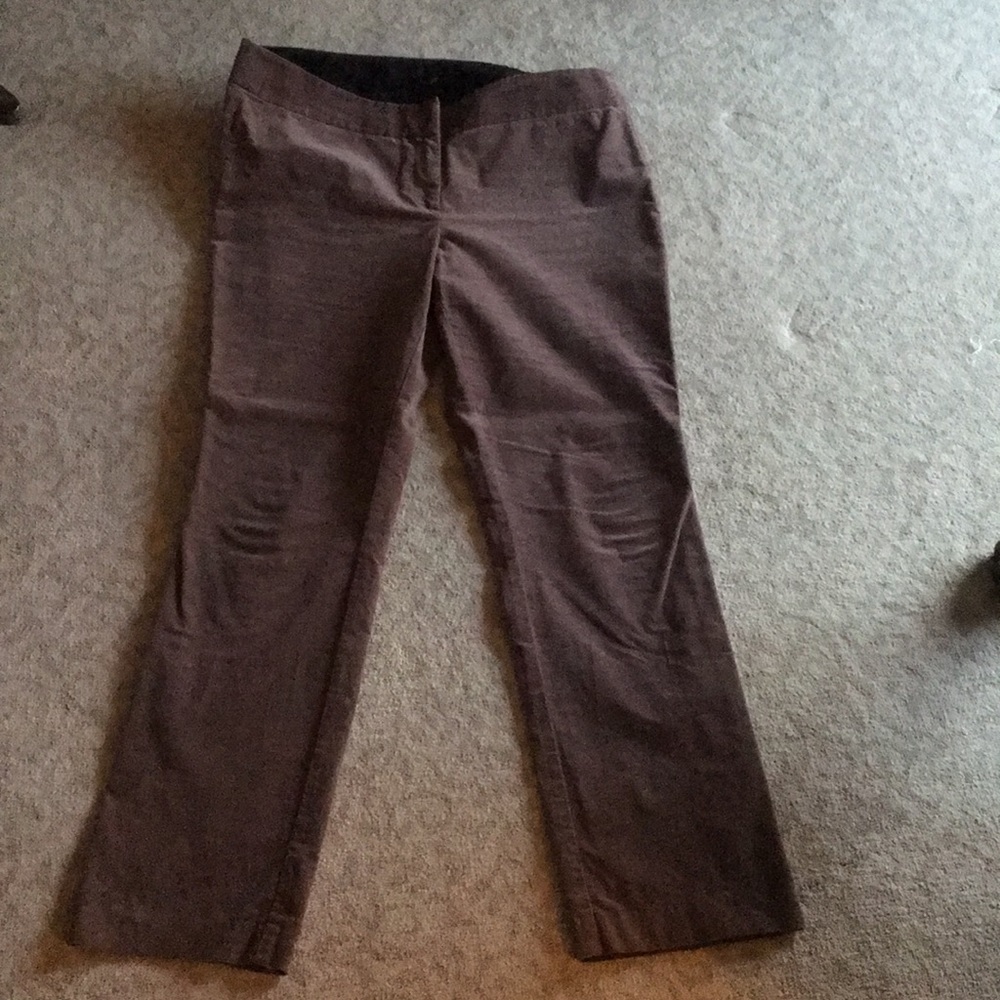 LOFT Plush Velour Skinny Pants